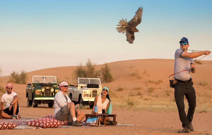 The Art of Falconry: A Highlight of Dubai Desert Safari